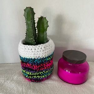 🪴Crochet Plant Cozy🪴